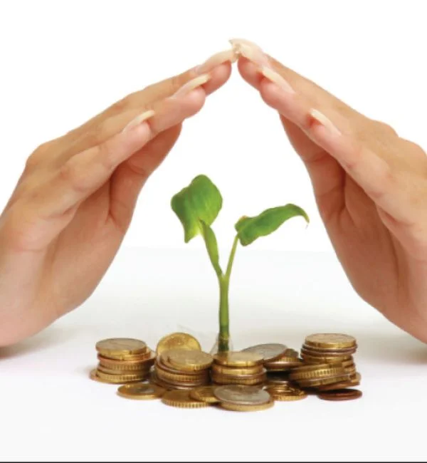 Agricultural Insurance in Pakistan